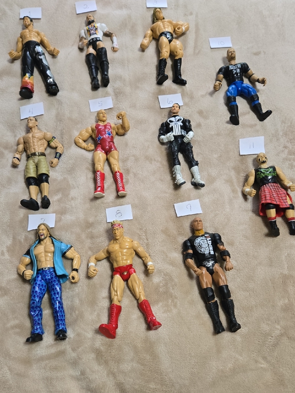 WWE Wrestling Action Figure